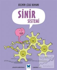Sinir Sistemi
