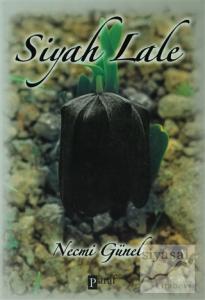 Siyah Lale
