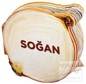 Soğan - Lezzetli Magnetler