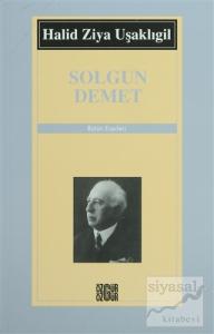Solgun Demet