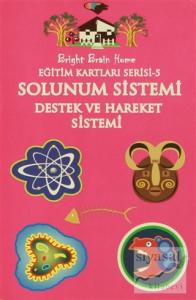 Solunum Sistemi, Destek ve Hareket Sistemi - Eğitim Kartları Serisi 5
