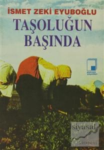 Taşoluğun Başında