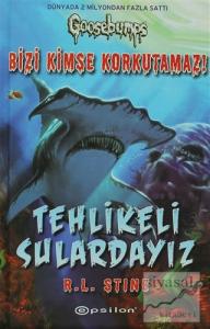 Tehlikeli Sulardayız (Ciltli)