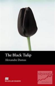 The Black Tulip Stage 2