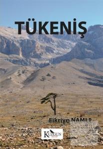 Tükeniş