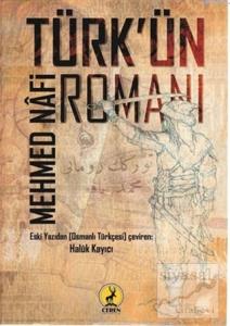 Türk'ün Romanı