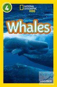 Whales: Level 4