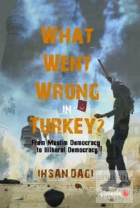 What Went Wrong in Turkey?