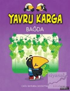 Yavru Karga Bağda