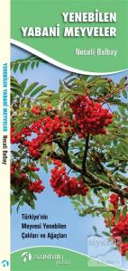 Yenebilen Yabani Meyveler