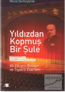 Yıldızdan Kopmuş Bir Şule