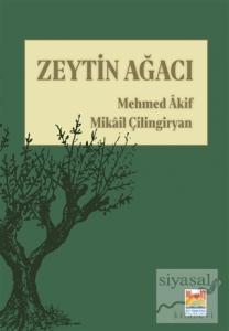 Zeytin Ağacı