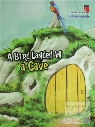 A Bird Landed in a Cave - Responsibility Neriman Karatekin
