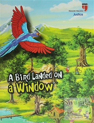 A Bird Landed On a Window Kolektif