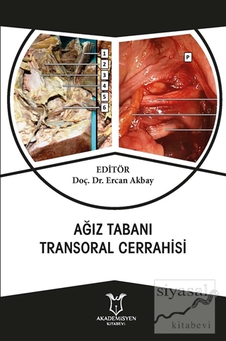 Ağız Tabanı Transoral Cerrahisi Ercan Akbay