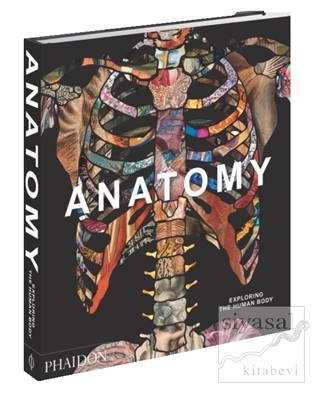 Anatomy (Ciltli) Kolektif