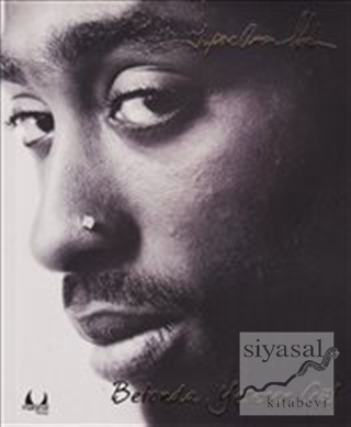 Betonda Yeşeren Gül