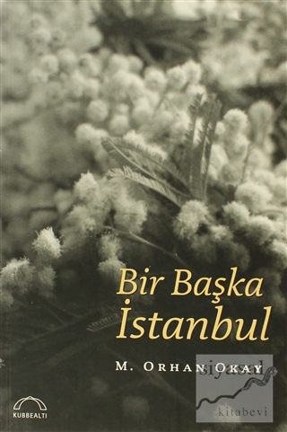 Bir Başka İstanbul M. Orhan Okay