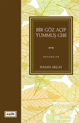 Bir Göz Açıp Yummuş Gibi