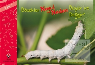 Böcekler Nasıl ve Neden Büyür ve Değişir?