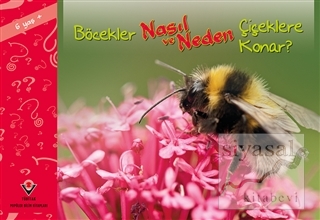 Böcekler Nasıl ve Neden Çiçeklere Konar?