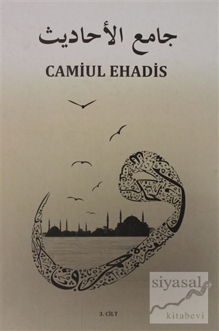 Camiul Ehadis Tercümesi 3.Cilt (Ciltli) Ziyaddin Hamurcu