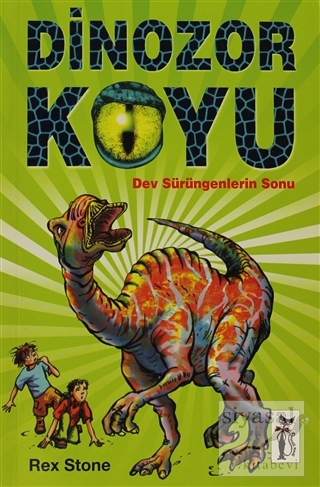 Dinozor Koyu Rex Stone