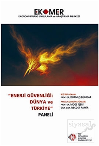 Enerji Güvenliği : Dünya ve Türkiye Paneli 2010 Kolektif