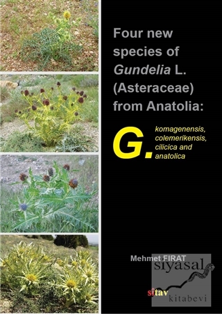 Four New Species Of Gundelia L. (Asteraceae) From Anatolia Mehmet Fıra
