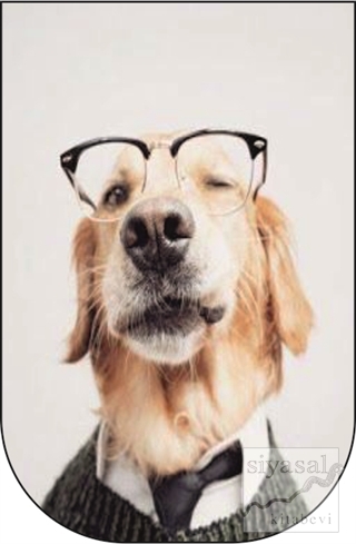 Gözlüklü Köpek - 10'lu Ayraç