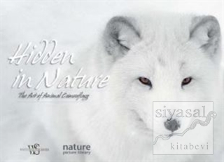 Hidden in Nature: Art of Animal Camouflage