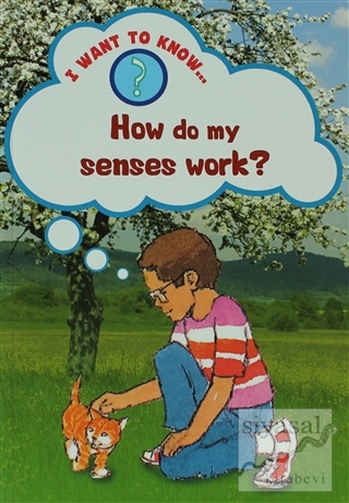 How Do My Senses Work? Mike Jackson