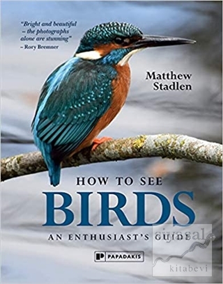 How To See Birds Matthew Stadlen