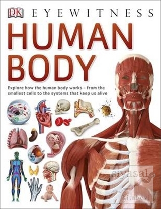 Human Body (Ciltli) Richard Walker