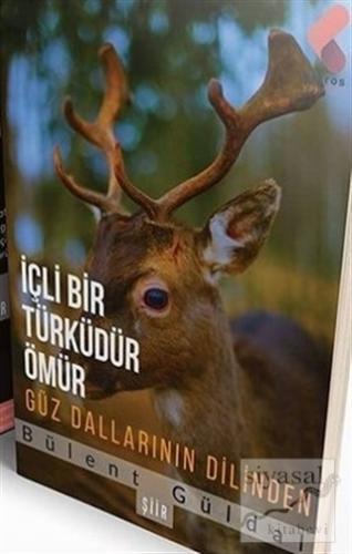 İçli Bir Türküdür Ömür Bülent Güldal