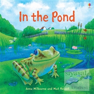 In the Pond Anna Milbourne