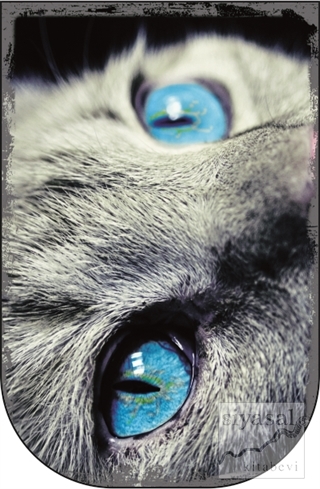 Kedi Gözü - 10'lu Ayraç