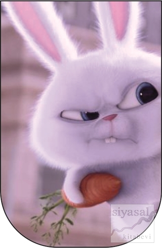 Kızgın Tavşan - 10'lu Ayraç