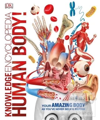 Knowledge Encyclopedia Human Body (Ciltli) Kolektif