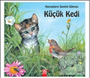 Küçük Kedi