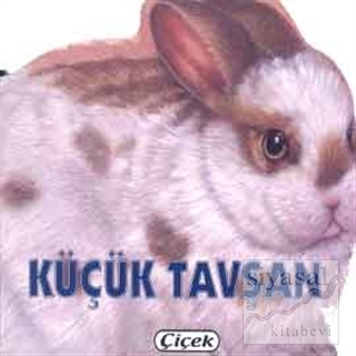 Küçük Tavşan