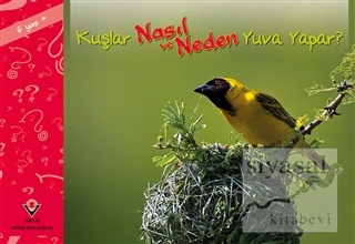 Kuşlar Nasıl ve Neden Yuva Yapar?