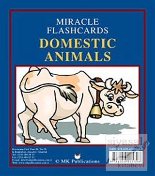 Miracle Flashcards - Domestic Animals Kolektif
