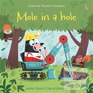 Mole in a Hole Lesley Sims
