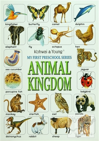 My First Preschool Series: Animal Kingdom Kolektif