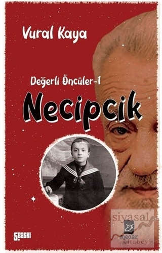 Necipcik