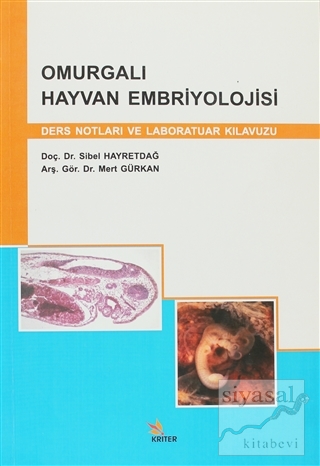 Omurgalı Hayvan Embriyolojisi Sibel Hayretdağ
