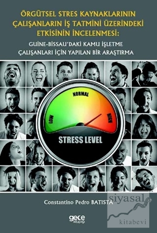 Örgütsel Stres Kaynaklarının Çalışanların İş Tatmini Üzerindeki Etkisi