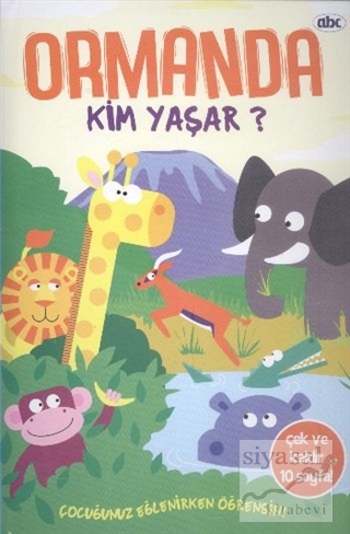 Ormanda Kim Yaşar? Kolektif