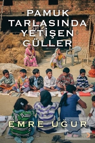 Pamuk Tarlasında Yetişen Güller